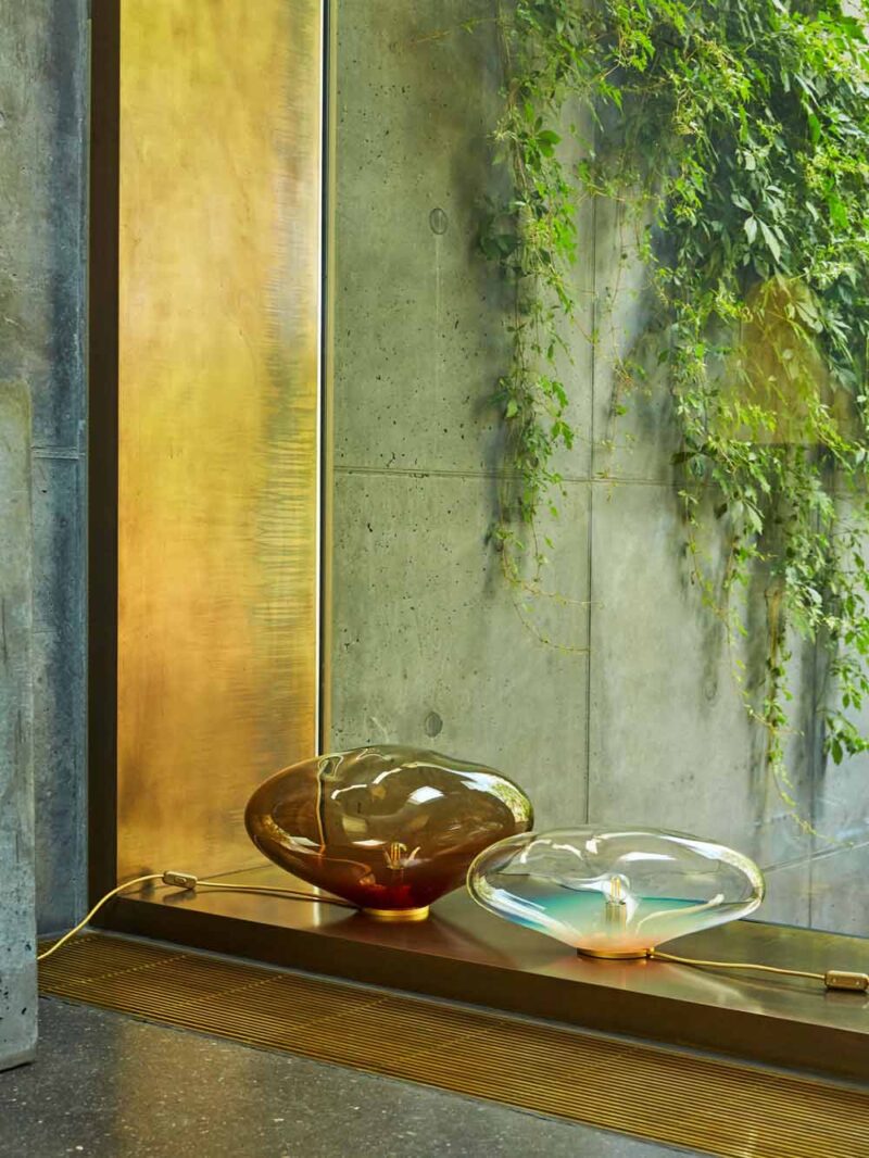 HAUMEA AMORPH - obrazek 3